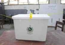 Debate over Diaspora Voting Rights: What You Need to Know debate-over-diaspora-voting-rights-what-you-need-to-know