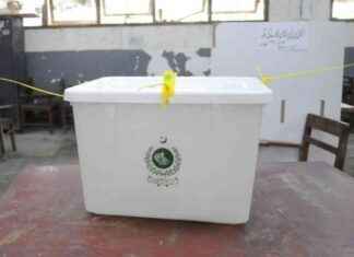 Debate over Diaspora Voting Rights: What You Need to Know debate-over-diaspora-voting-rights-what-you-need-to-know