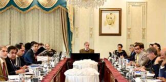 revised-pp-agreements-approved-by-cabinet-to-lower-electricity-prices-by-rs11