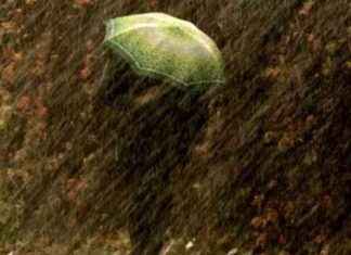 Tragic Incident: Woman Commits Suicide Alongside Two Daughters tragic-ncident-woman-commits-suicide-alongside-two-daughters