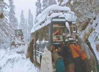 Winter Returns: Embracing the Season’s Comeback winter-returns-embracing-the-seasons-comeback