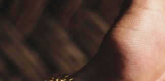 Casio Watch Price In Pakistan: Discover Affordable Luxury Options