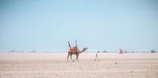 Infinix Hot Price In Pakistan 6GB RAM 128GB ROM: Why Buy Now?