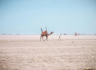 Infinix Hot Price In Pakistan 6GB RAM 128GB ROM: Why Buy Now?