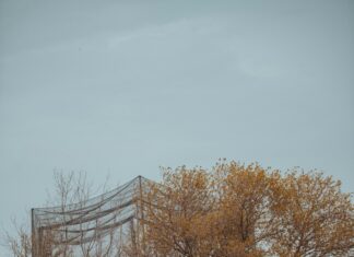 Iron Rate In Pakistan: Discover Why Prices Are Changing Rapidly