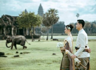 Sparx Neo Plus Price In Pakistan: Discover The Best Deals Now