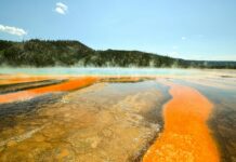 Electric Geyser Price In Pakistan: Discover Affordable Hot Water Solutions