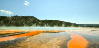 Electric Geyser Price In Pakistan: Discover Affordable Hot Water Solutions