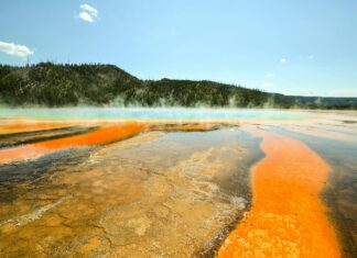 Electric Geyser Price In Pakistan: Discover Affordable Hot Water Solutions