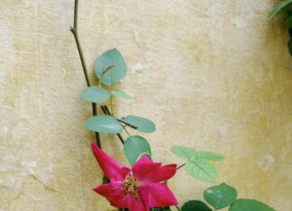 Infinix 4 64 Price In Pakistan: Discover Unbeatable Deals Today