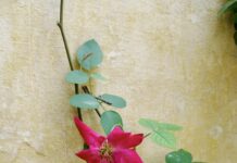 Infinix Hot 40i Price In Pakistan 16GB RAM 256GB – Is It Worth It?