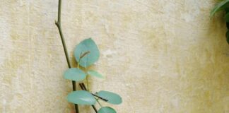 Infinix Hot 40i Price In Pakistan 16GB RAM 256GB – Is It Worth It?