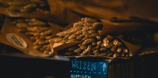 Wheat Price In Pakistan: Shocking Trends You Need To Know