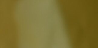 Cerave Moisturizer Price In Pakistan: Where To Find Best Deals?