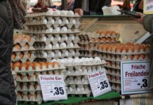 Egg Price In Pakistan: Why Are Costs Rising And What To Expect