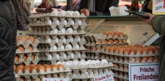 Egg Price In Pakistan: Why Are Costs Rising And What To Expect