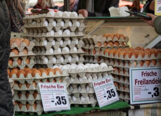 Egg Price In Pakistan: Why Are Costs Rising And What To Expect