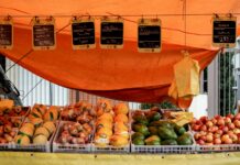 Avocado Price In Pakistan: Why Is It Rising And Where To Buy?