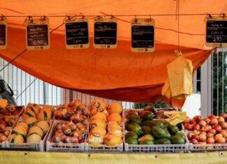 Avocado Price In Pakistan: Why Is It Rising And Where To Buy?
