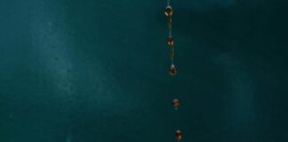 Dairy Milk Chocolate Price In Pakistan: Discover The Best Deals Today