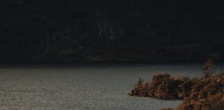 Pornsite In Pakistan: Discover The Truth Behind Its Popularity