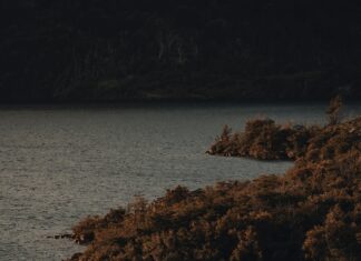 Pornsite In Pakistan: Discover The Truth Behind Its Popularity